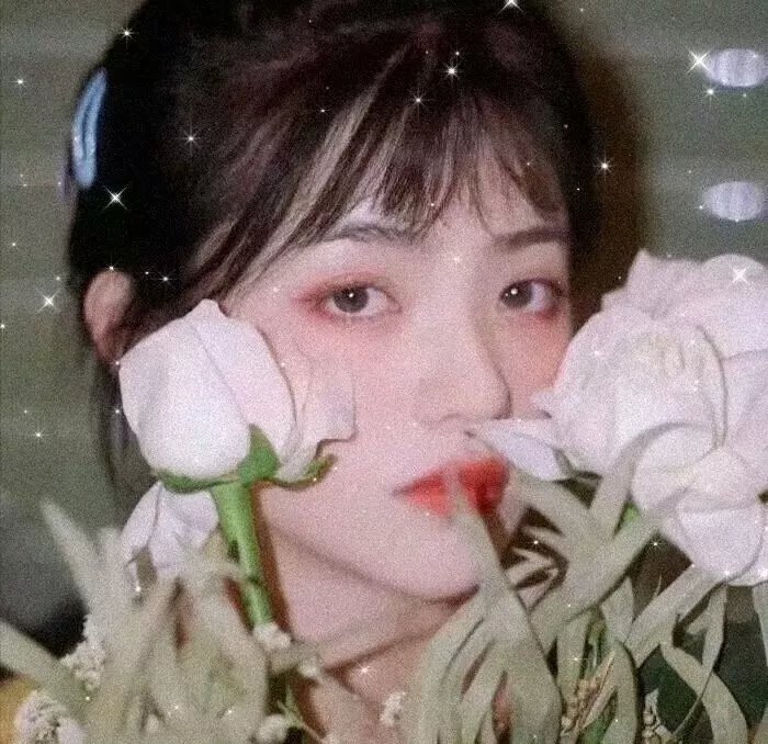 窈窕淑女 高清剧集封面
