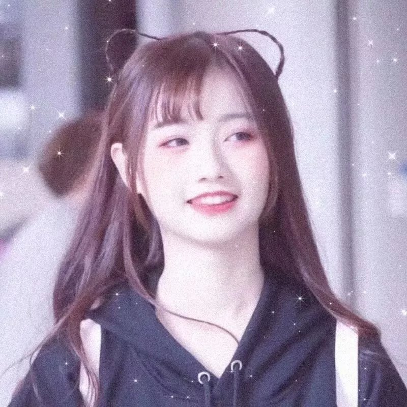 完美的主人 高清剧集封面